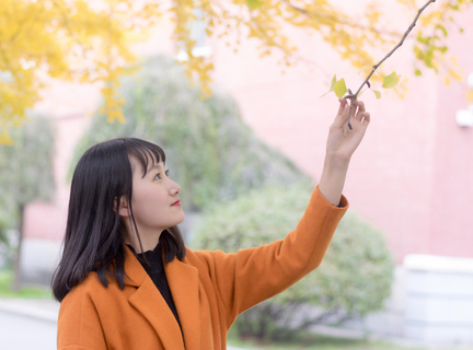 乌干达电子签证办理步骤简单吗